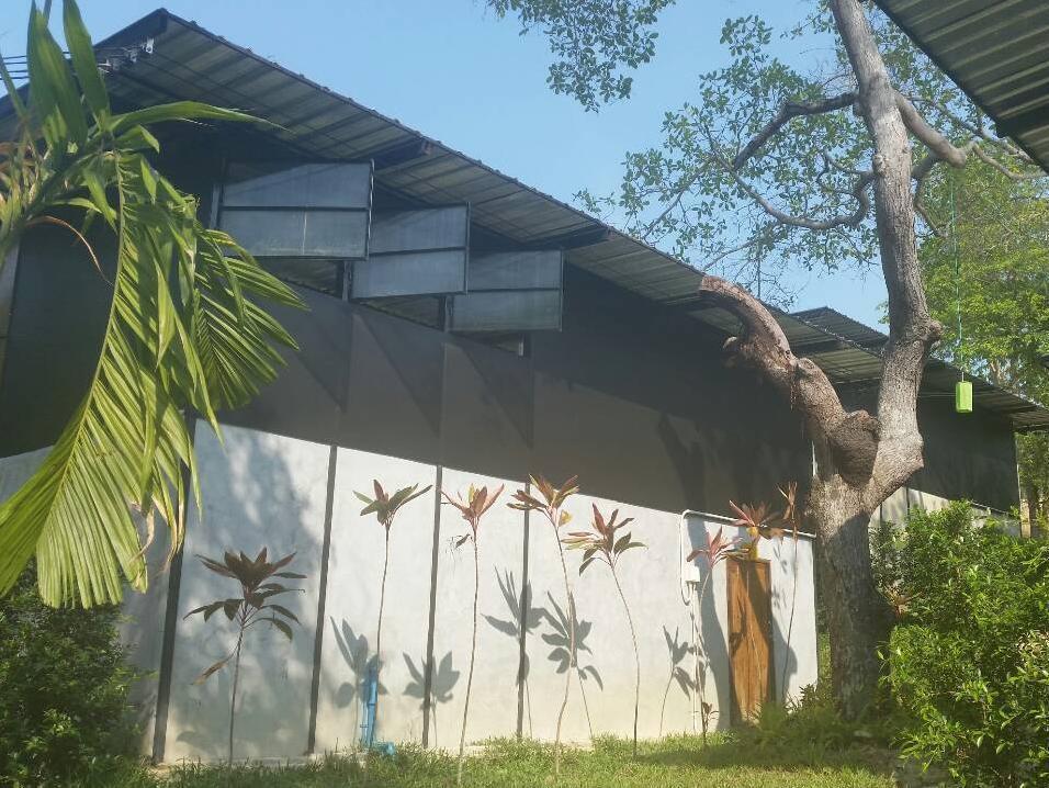 Himmapan Resort Koh Phayam Eksteriør billede