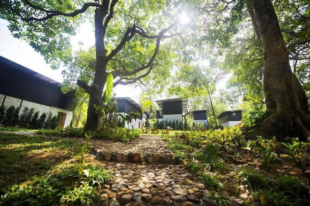 Himmapan Resort Koh Phayam Eksteriør billede
